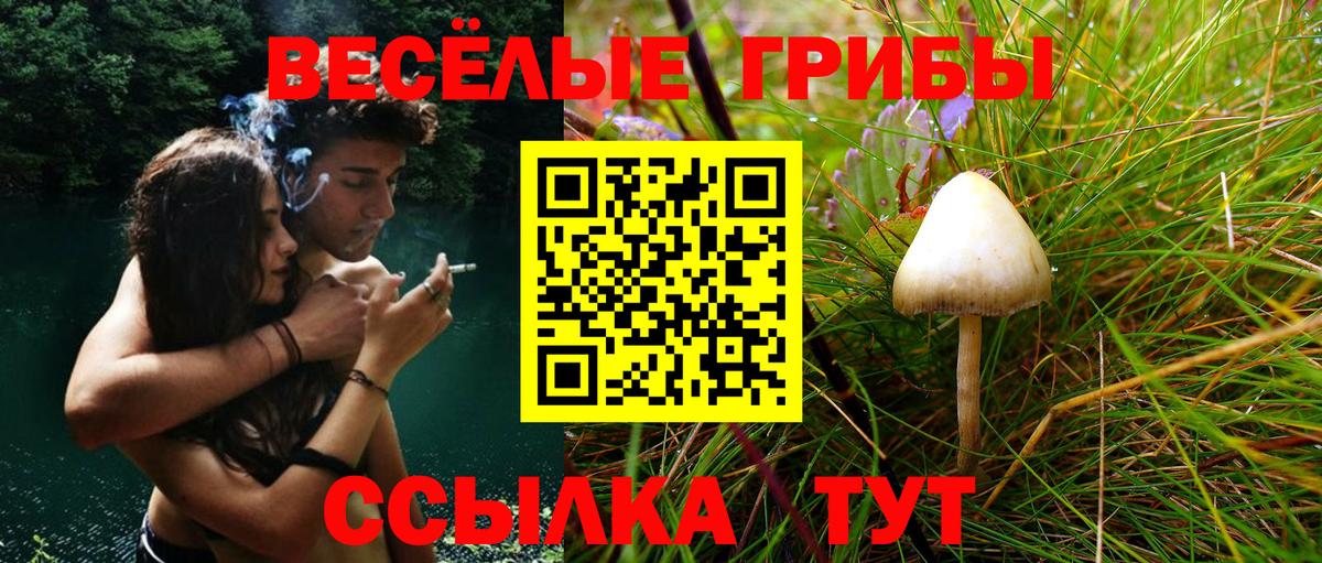 Галлюциногенные грибы GOLDEN TEACHER Тольятти